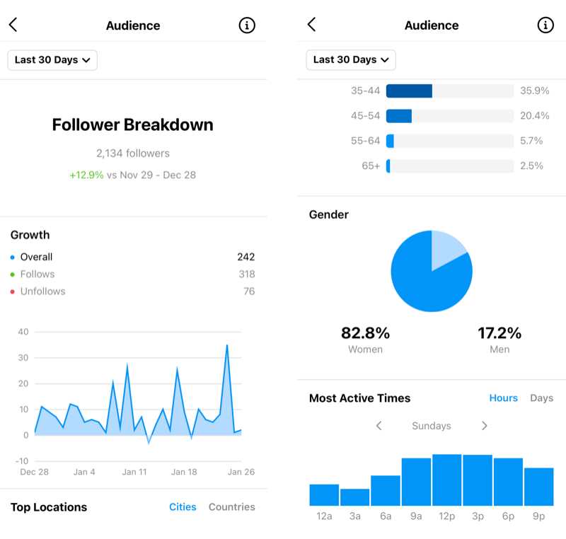 instagram professional dashboard follower breakdown 800