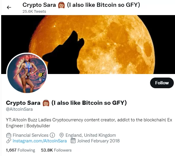 Altcoin Sara Crypto twitter influencer