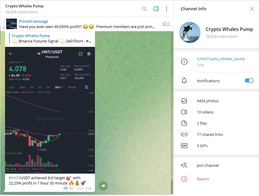Crypto whale pump Telegram channel